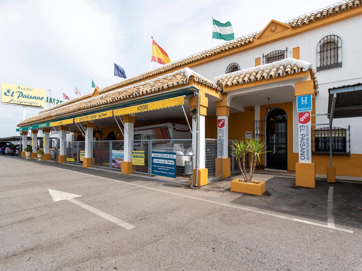 Oyo Hostal El Paisano 乌特雷拉 外观 照片